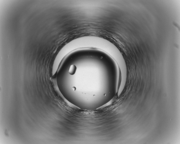 X0000094940524200712201117