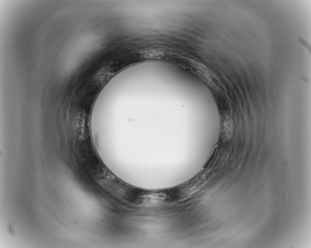 X0000094940525200712201117