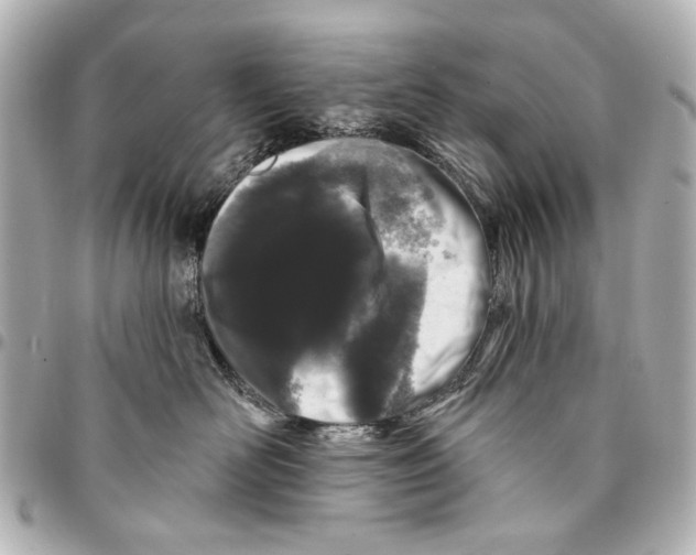 X0000094940526200712201117