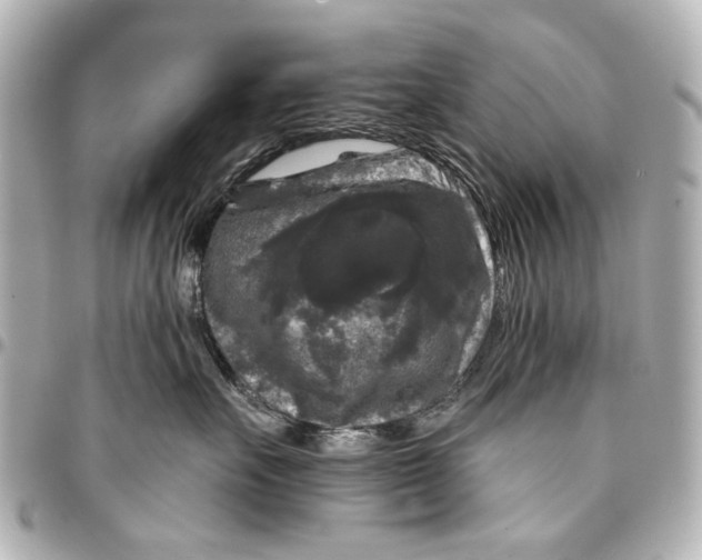 X0000094940527200712201117