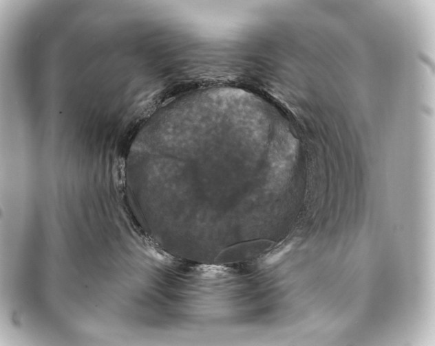 X0000094940528200712201117