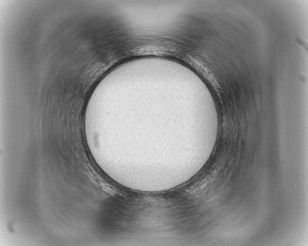 X0000094940529200712201117