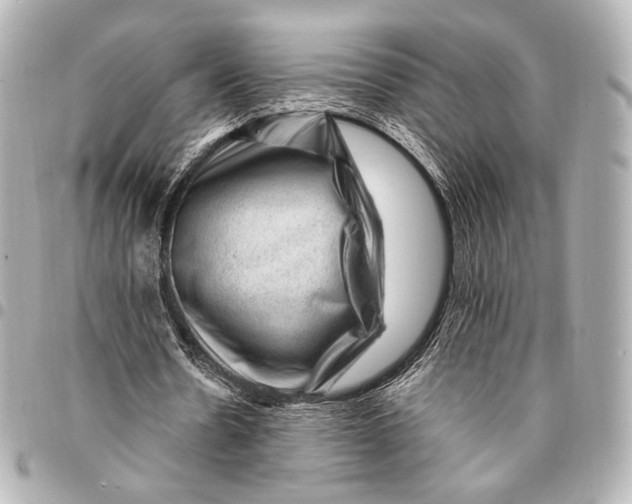 X0000094940530200712201117