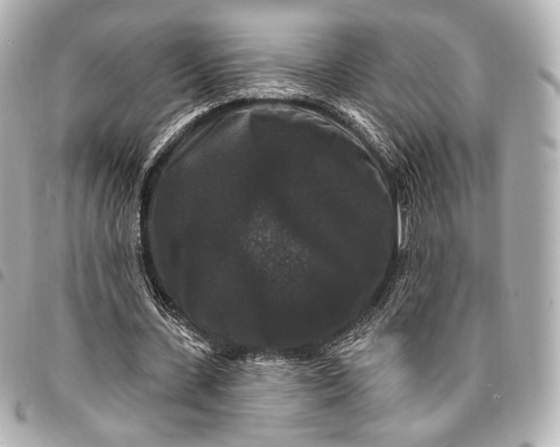 X0000094940531200712201117