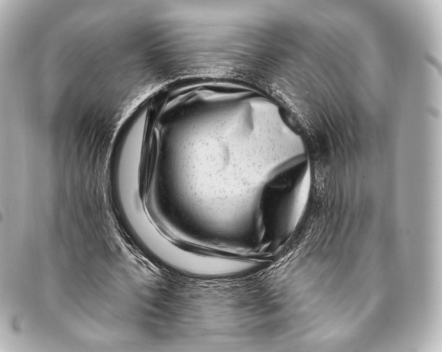 X0000094940532200712201117