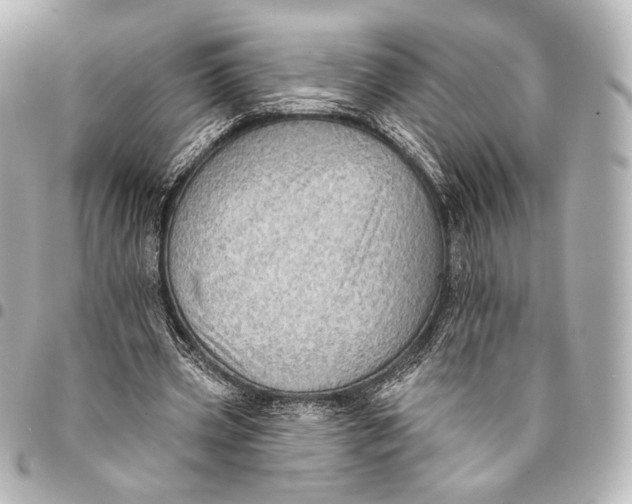 X0000094940533200712201117