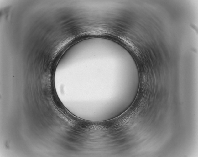 X0000094940535200712201117