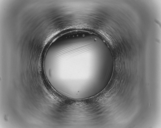 X0000094940536200712201117