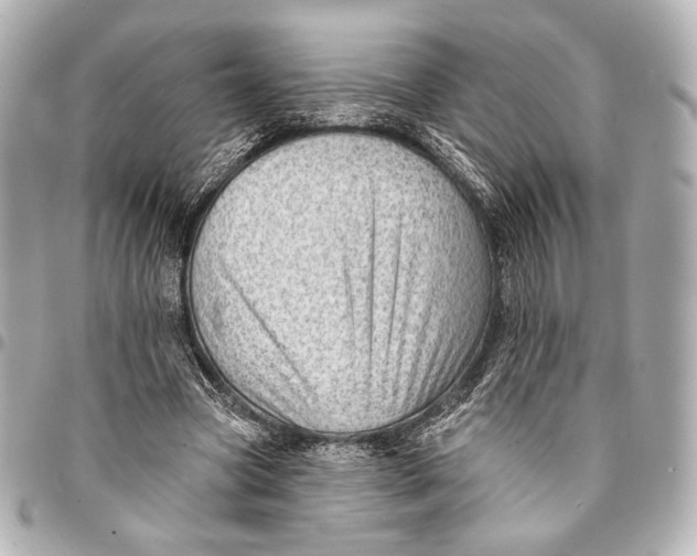 X0000094940537200712201117