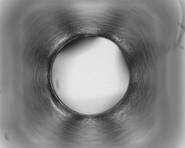 X0000094940538200712201117