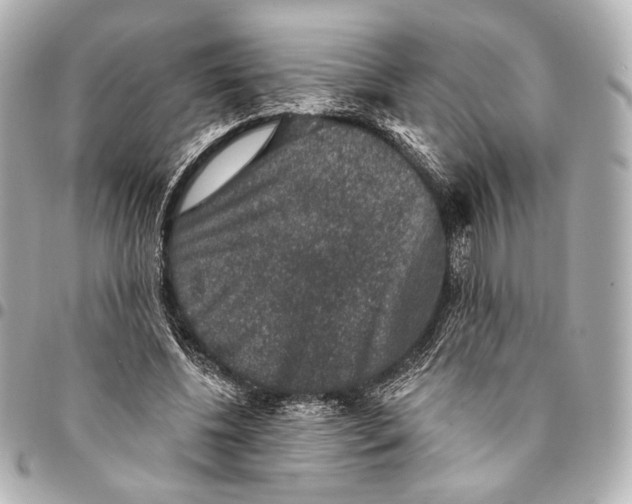 X0000094940540200712201117