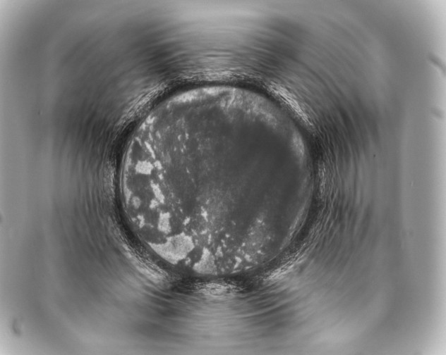 X0000094940542200712201117