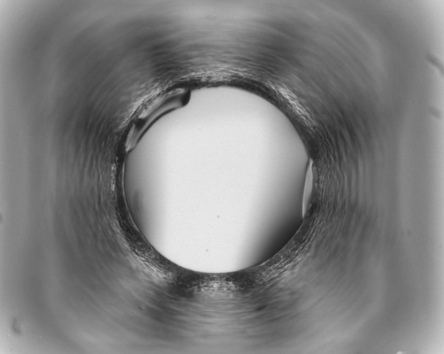 X0000094940543200712201117