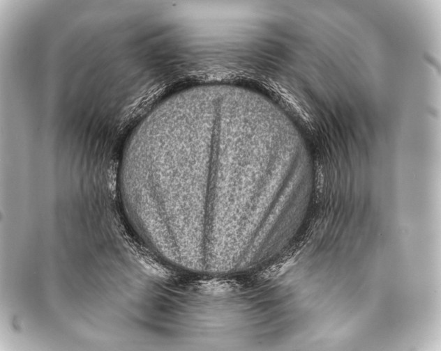 X0000094940545200712201117