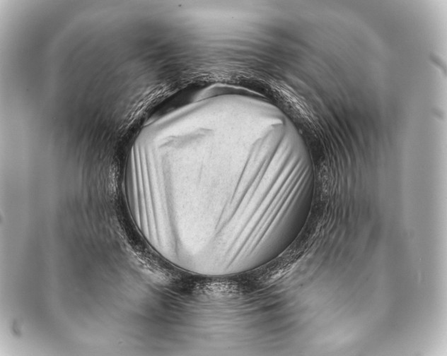 X0000094940546200712201117