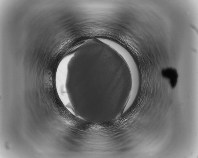 X0000094940547200712201117