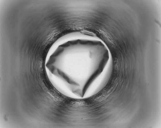 X0000094940548200712201117