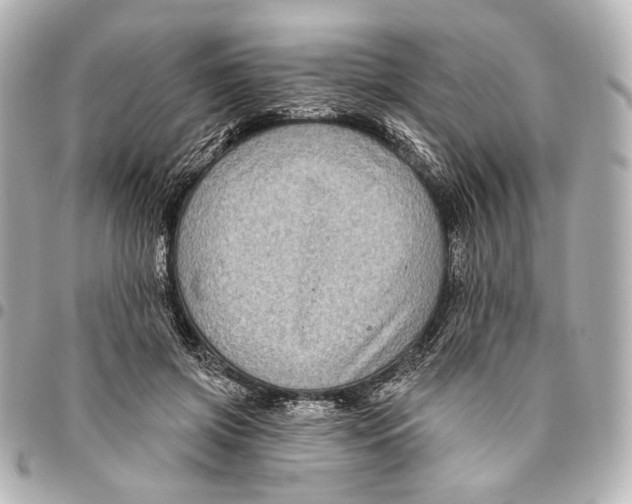 X0000094940549200712201117