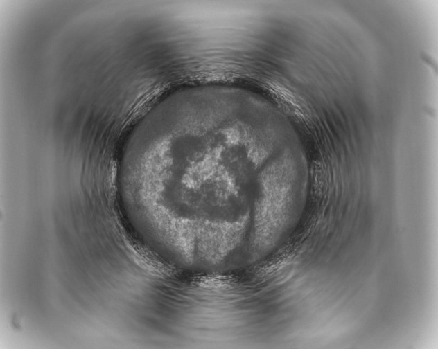 X0000094940550200712201117