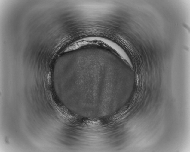 X0000094940552200712201117