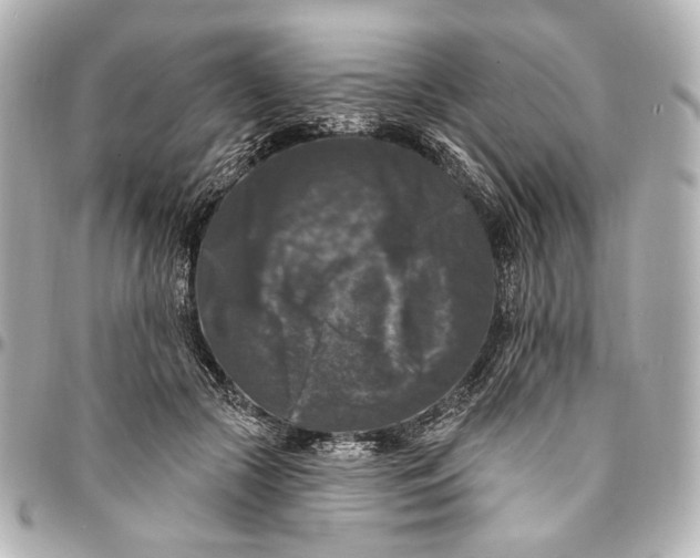 X0000094940553200712201117