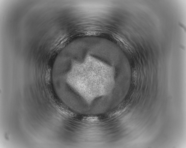 X0000094940554200712201117