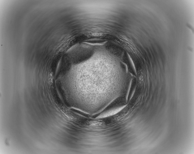 X0000094940555200712201117