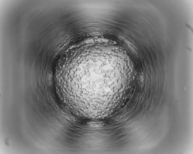 X0000094940556200712201117