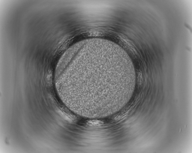 X0000094940557200712201117