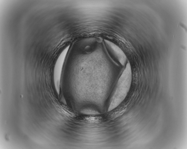 X0000094940558200712201117