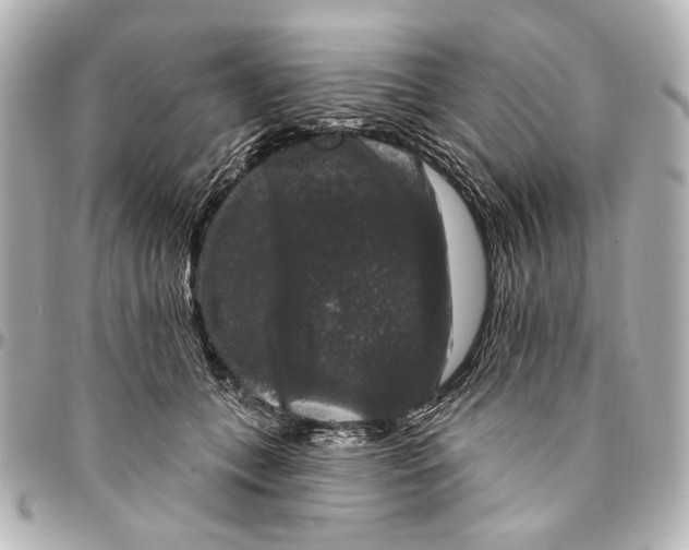 X0000094940559200712201117