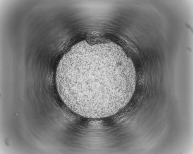 X0000094940560200712201117