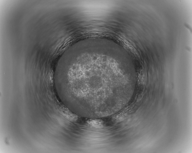 X0000094940561200712201117