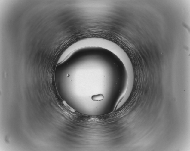 X0000094940562200712201117