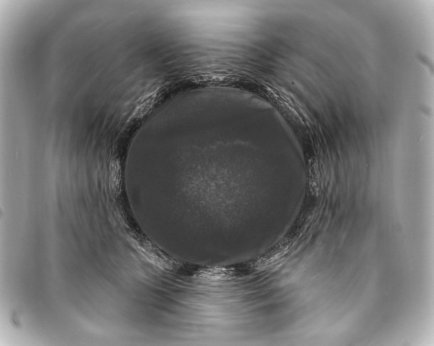 X0000094940563200712201117