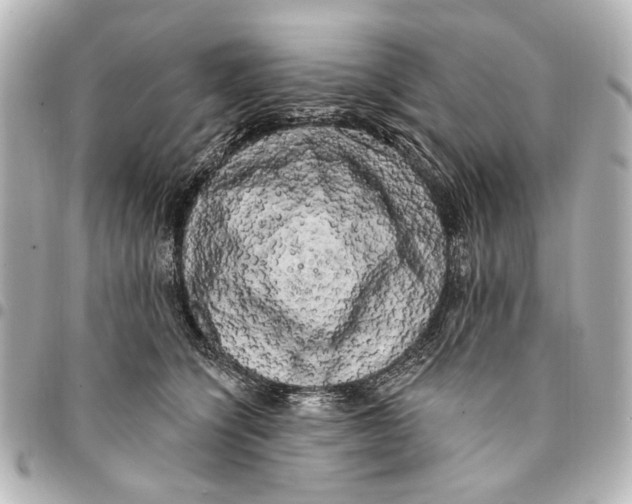 X0000094940564200712201117