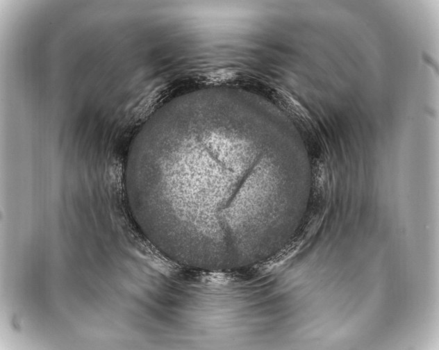 X0000094940565200712201117