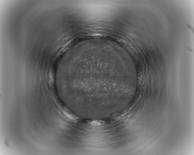 X0000094940566200712201117