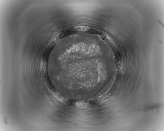 X0000094940568200712201117