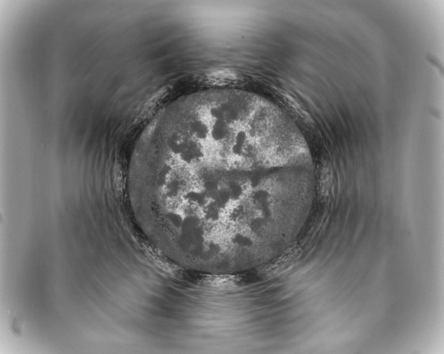 X0000094940569200712201117