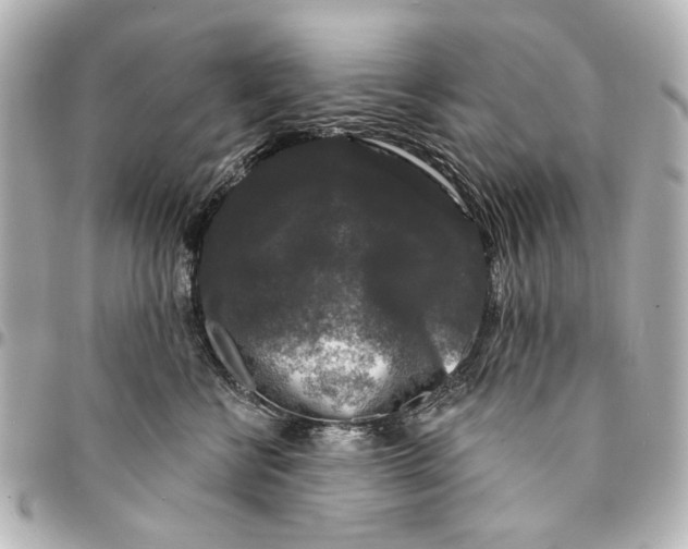 X0000094940570200712201117