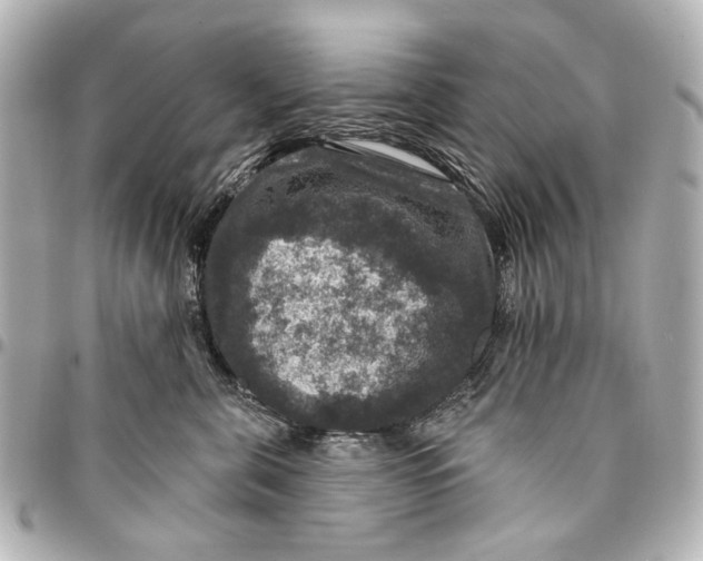 X0000094940571200712201117