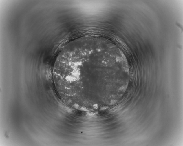 X0000094940573200712201117