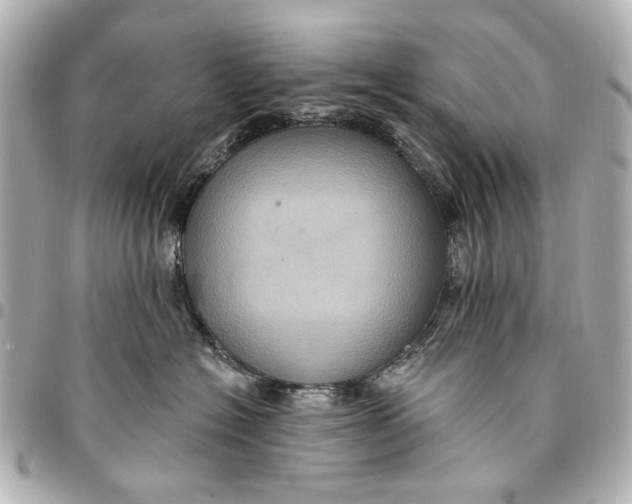 X0000094940574200712201117