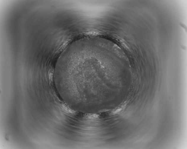 X0000094940576200712201117