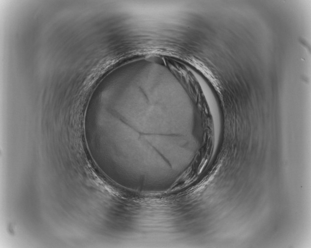 X0000094940577200712201117