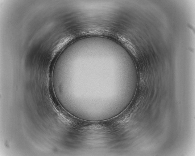 X0000094940578200712201117