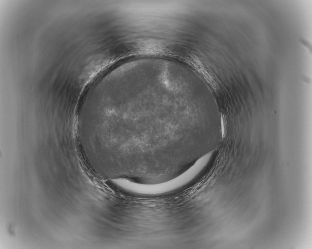 X0000094940579200712201117