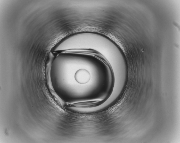 X0000094940581200712201116