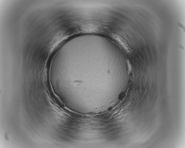 X0000094940583200712201116